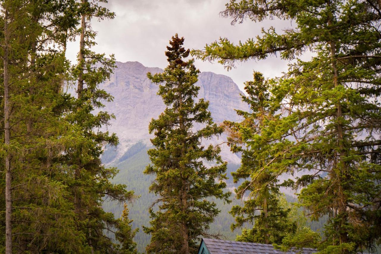 Romantic Luxury Retreat With Private Sauna & Spa, Pet Friendly, Elkside Hideout B&B