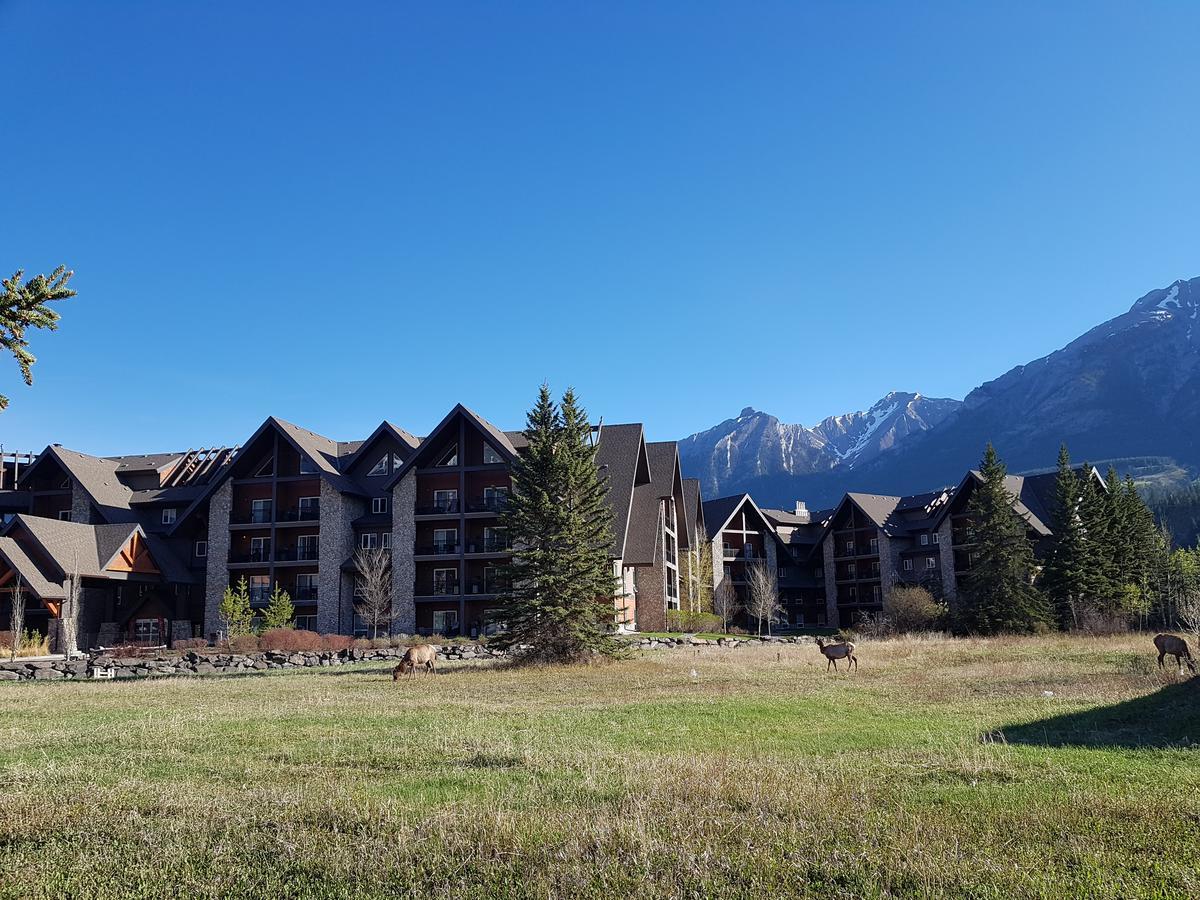 Hotel Paradise Club And 4*