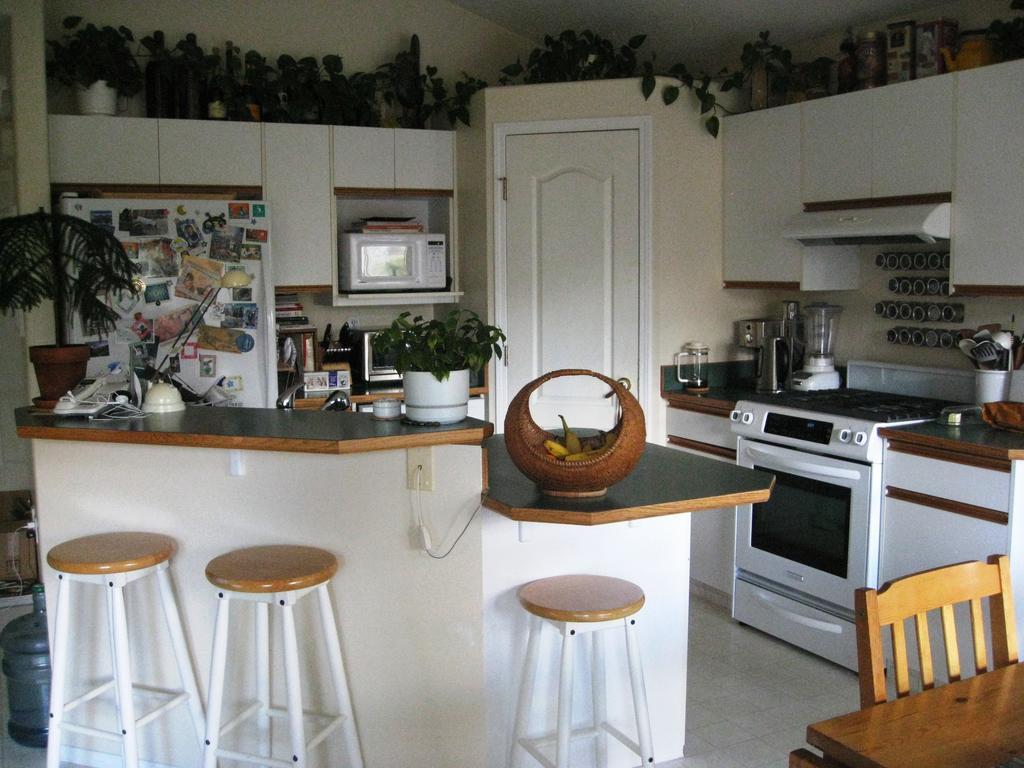 Avens Renaissance 2*