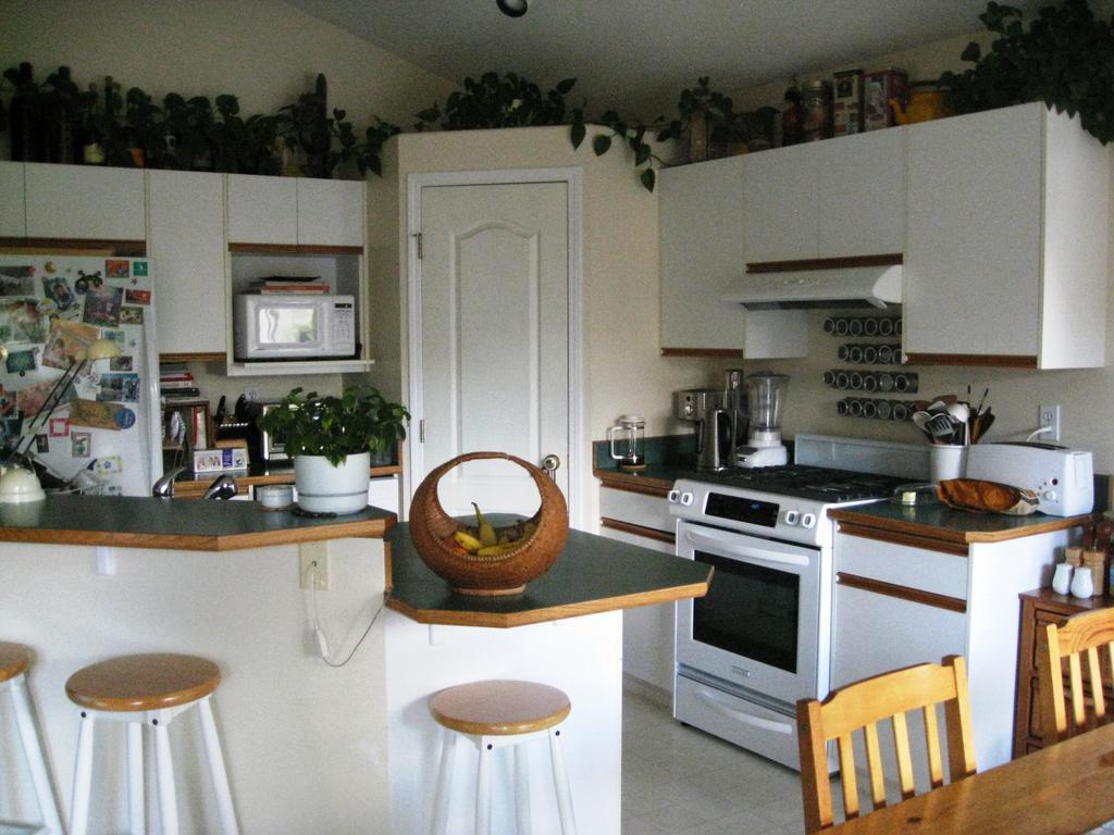 Avens Renaissance 2* Canmore