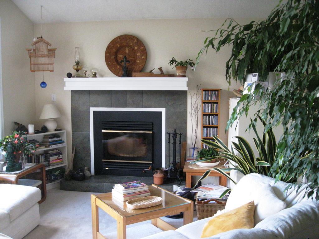Avens Renaissance Canmore