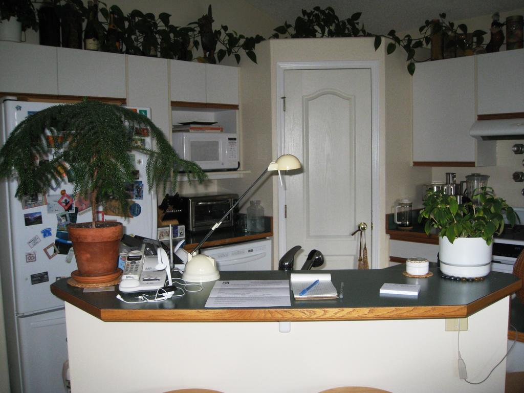Avens Renaissance Bed & Breakfast