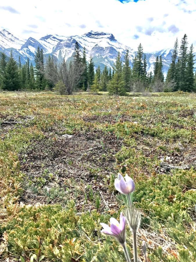 Inviting Rocky Mountain Hot Tub In Rated Managed By Little Sister Getaways * Canmore