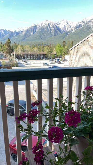 Unit #303 Mountain View 1br In Downtown Apartment