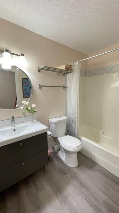 Apartment Unit #303 Mountain View 1br In Downtown *