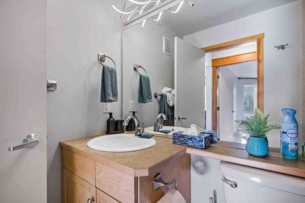 Apartment Lux 2br 5bd Mountain View!