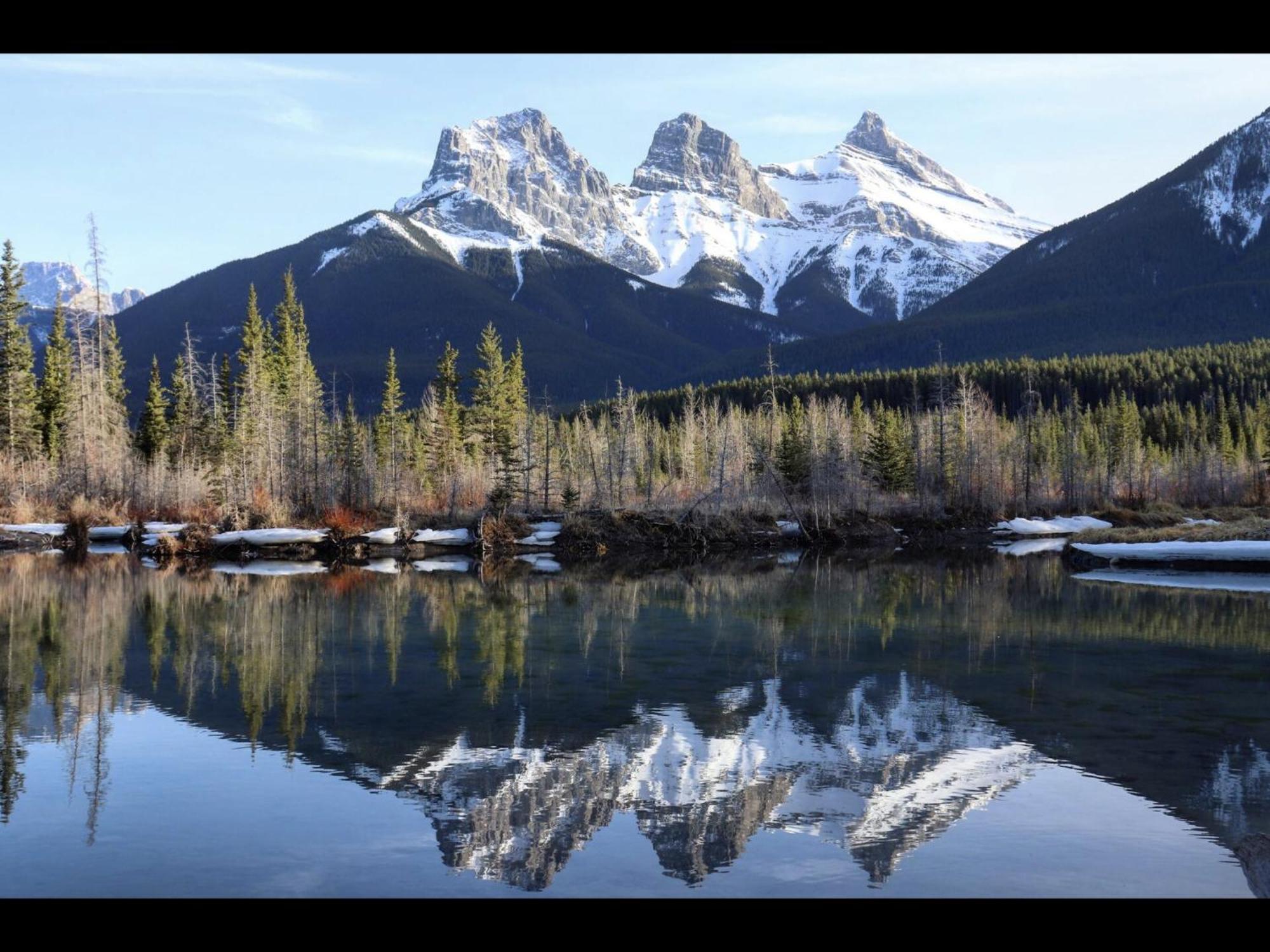 Aparthotel Luxury 2bedroom 2bath Sleeps 6 945 Square Feet Canmore