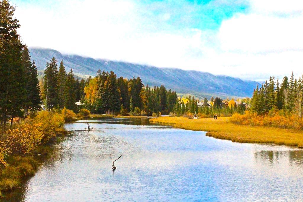 Luxury Vacations Apartment Canmore