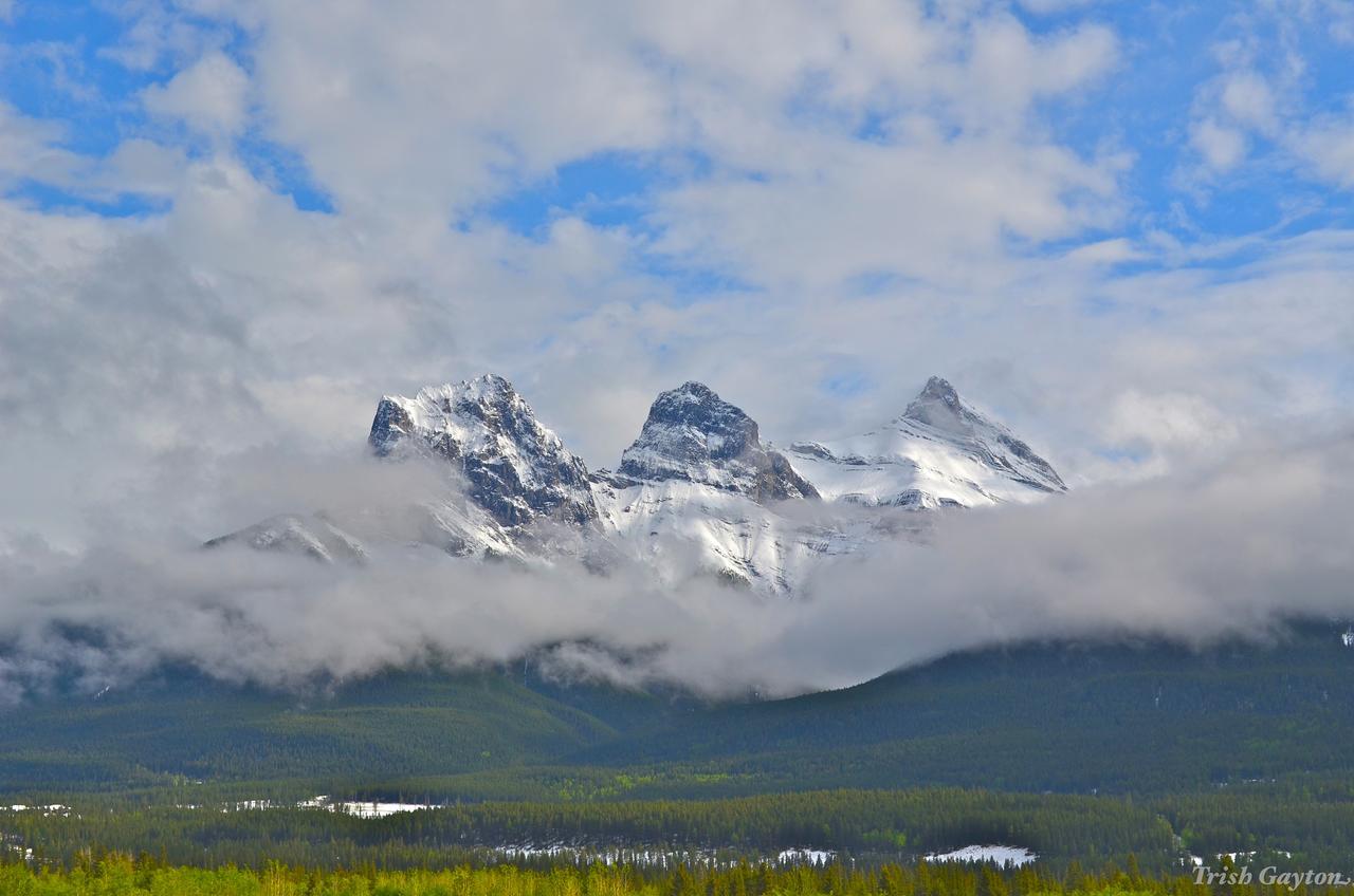 Prc Annex - Pet Friendly Canmore