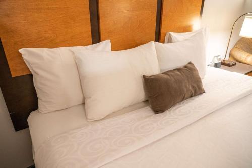 Pocaterra & Waterslide Hotel Canmore